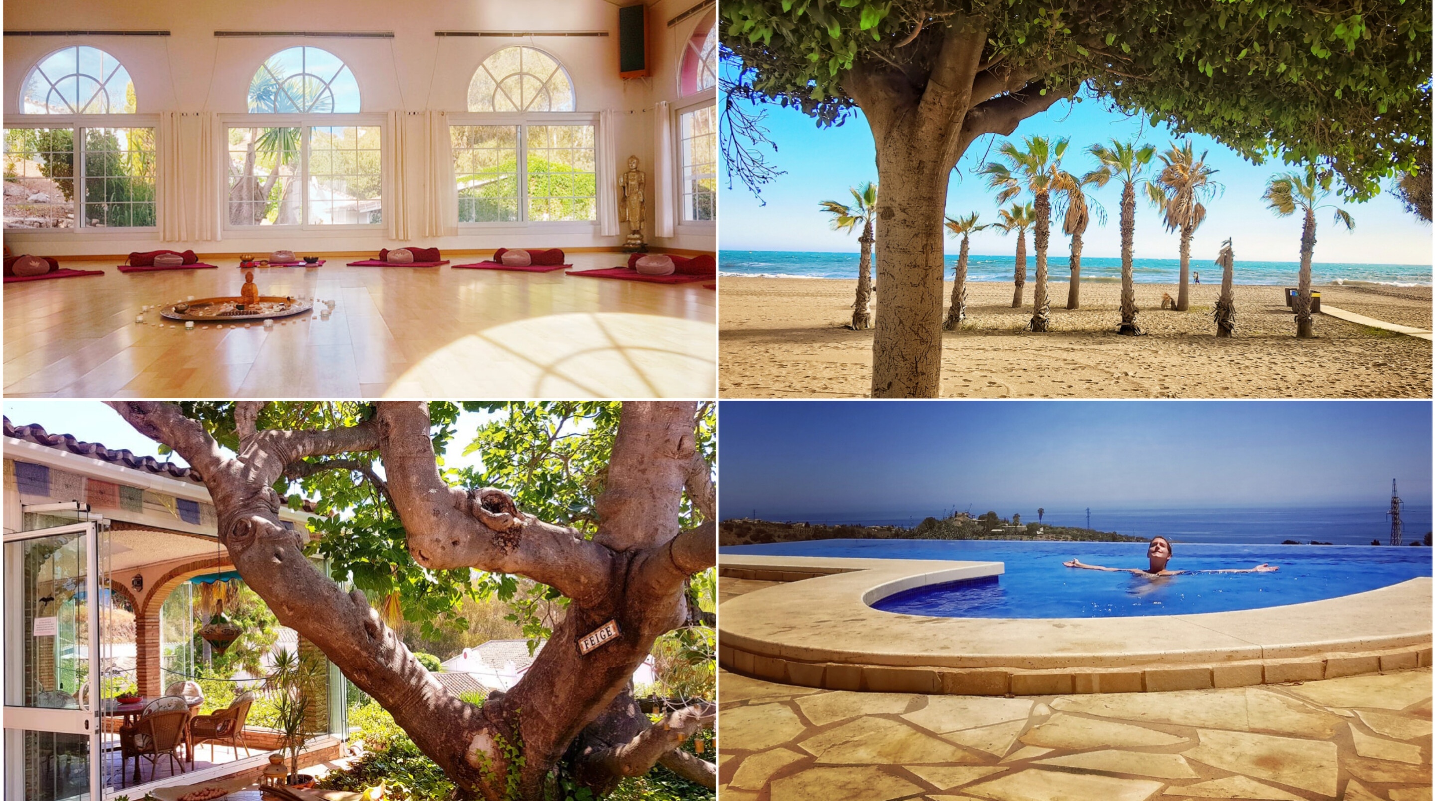 MBSR, Hypnose, Phantasie, Reise, Imaginationsreise, Kompaktseminar, Meditation, Achtsamkeit, Yoga, 2026, Andalusien, Europa, Deutsch, Hypno, Thetafloating, Thetahealing, Fortbildung